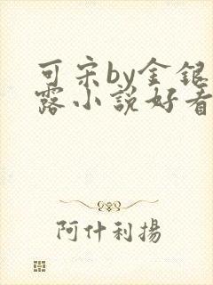 可宋by金银花露小说好看吗