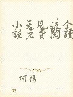 小天风流全集小说免费阅读