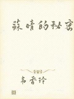 苏晴的秘密小说