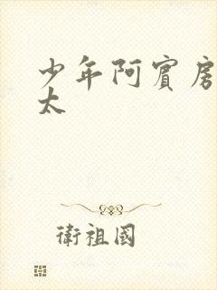 少年阿宾房东太太