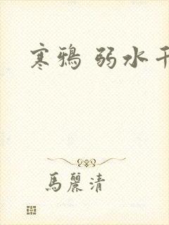 寒鸦 弱水千流