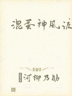 混蛋神风流