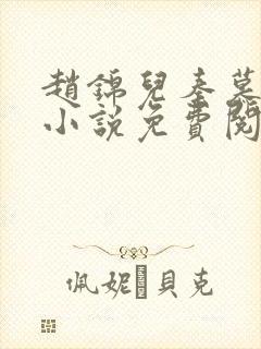 赵锦儿秦慕修的小说免费阅读全文