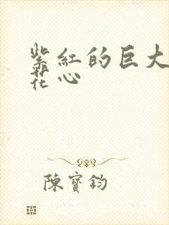 紫红的巨大顶开花心