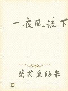 一夜风流下载