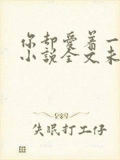 你却爱着一个他小说全文未删减免费