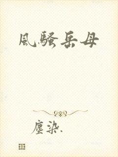 风骚岳母