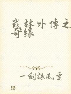 武林外传之同福奇缘