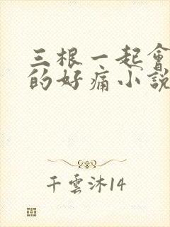 三根一起会坏掉的好痛小说