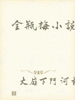 金瓶梅小说下载