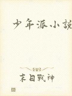 少年派小说