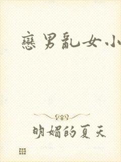 恋男乱女小说