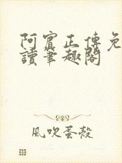 阿宾正传免费阅读笔趣阁