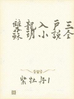 双龙入户三人行苏玥小说全文阅读