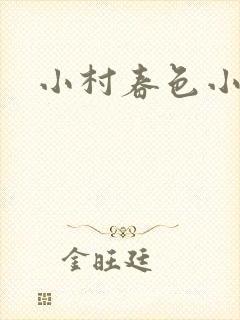 小村春色小说