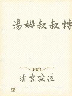 汤姆叔叔转接口