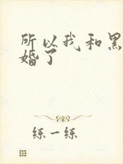 所以我和黑粉结婚了