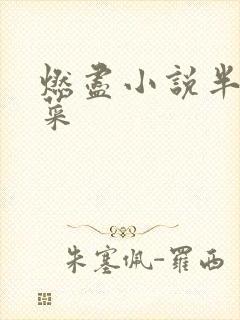 燃尽小说半截白菜
