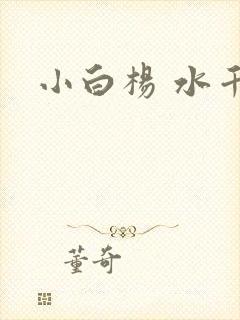 小白杨 水千丞