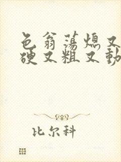 色翁荡熄又大又硬又粗又动态图