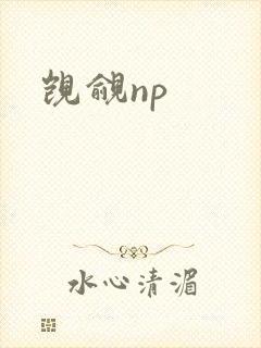 觊觎np