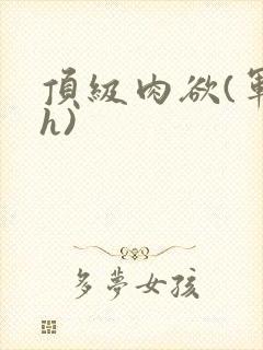 顶级肉欲(军高h)