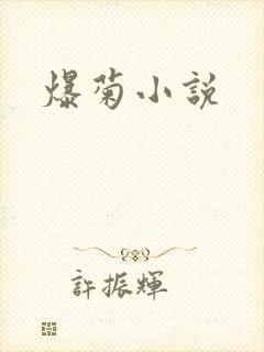 爆菊小说