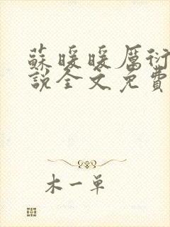 苏暖暖厉衍琛小说全文免费阅读