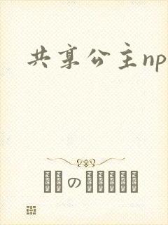 共享公主npc