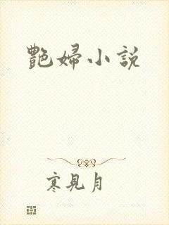 艳妇小说