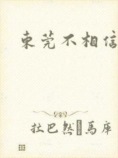 东莞不相信眼泪