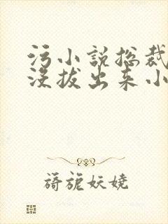 污小说总裁整夜没拔出来小说在线阅读