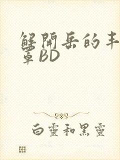 解开岳的丰满奶罩BD