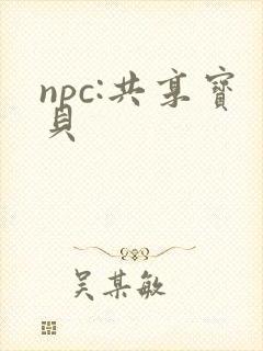 npc:共享宝贝