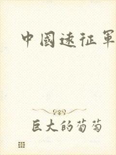 中国远征军小说