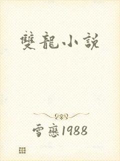 双龙小说