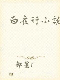 白夜行小说下载