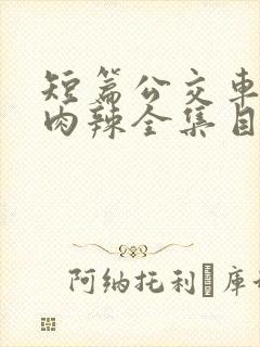 短篇公交车高h肉辣全集目录