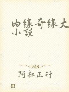 内缘奇缘大团圆小说
