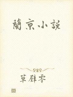 兰京小说