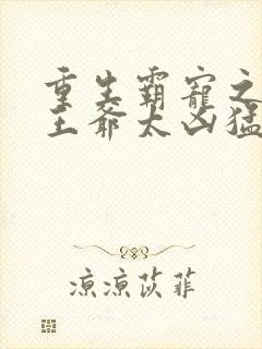 重生霸宠之摄政王爷太凶猛