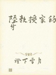 陆教授家的小月牙