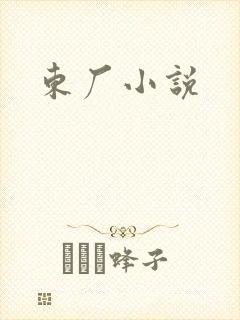 东厂小说