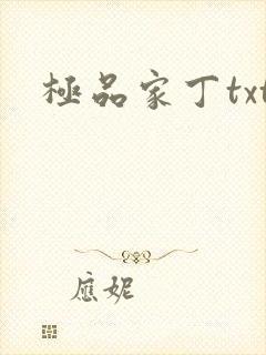 极品家丁txt