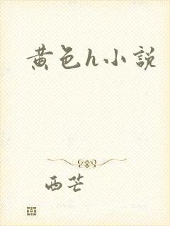 黄色h小说