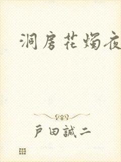 洞房花烛夜小说