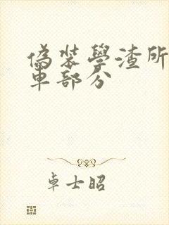 伪装学渣所有开车部分