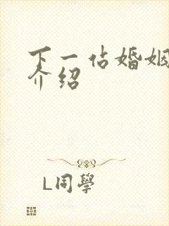 下一站婚姻剧情介绍