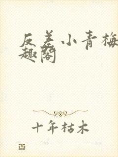 反差小青梅 笔趣阁