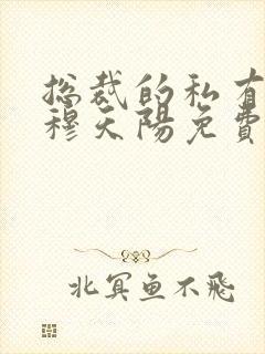 总裁的私有宝贝穆天阳免费